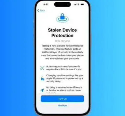 留坝苹果授权维修店分享被盗设备保护功能开启方法