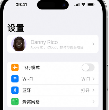 留坝appleID维修服务iPhone设置中Apple ID显示为灰色无法使用