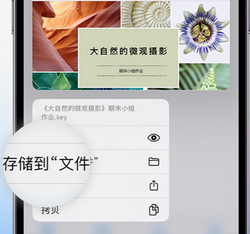 留坝apple维修中心分享iPhone文件应用中存储和找到下载文件