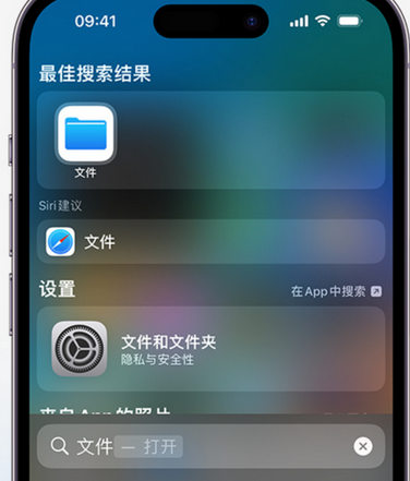 留坝apple维修中心分享iPhone文件应用中存储和找到下载文件