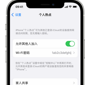 留坝apple服务站点分享iPhone上个人热点丢失了怎么办 