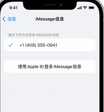 留坝apple维修iPhone上无法正常发送iMessage信息 