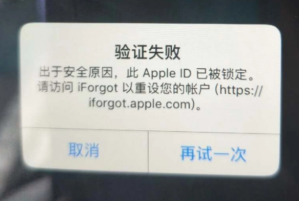 留坝iPhone维修分享iPhone上正常登录或使用AppleID怎么办 