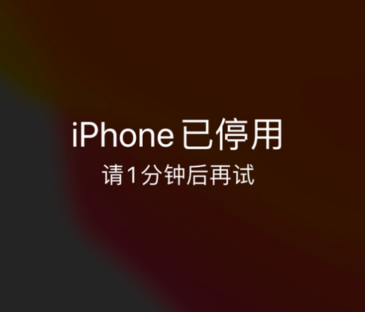 留坝苹果手机维修分享:iPhone 显示“不可用”或“已停用”怎么办？还能保留数据吗？ 