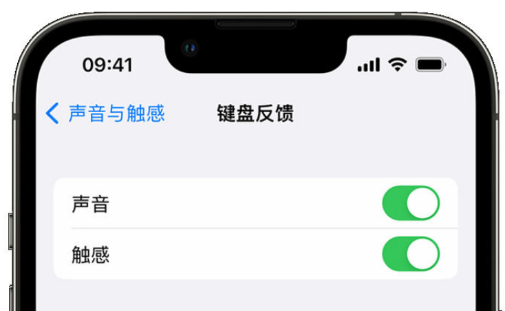 留坝苹果手机维修分享iPhone 14触感键盘使用方法 