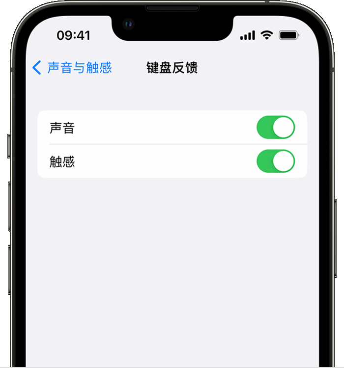 留坝苹果14维修店分享如何在 iPhone 14 机型中使用触感键盘 