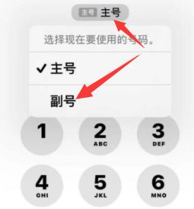 留坝苹果14维修店分享iPhone 14 Pro Max使用副卡打电话的方法 