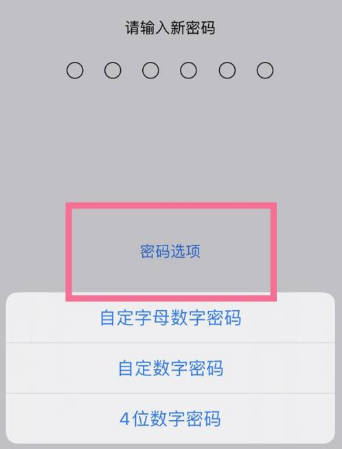 留坝苹果14维修分享iPhone 14plus设置密码的方法 