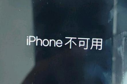 留坝苹果服务网点分享锁屏界面显示“iPhone 不可用”如何解决 