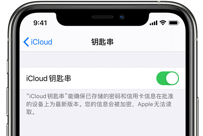 留坝苹果手机维修分享在 iPhone 上开启 iCloud 钥匙串之后会储存哪些信息 