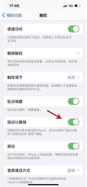 留坝苹果手机维修分享iPhone手机如何设置摇一摇删除文字 