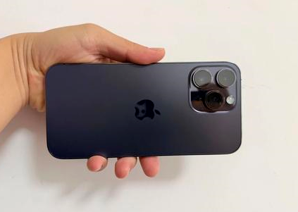 留坝苹果维修点分享iPhone 14 Pro Max黑屏少见故障盘点 